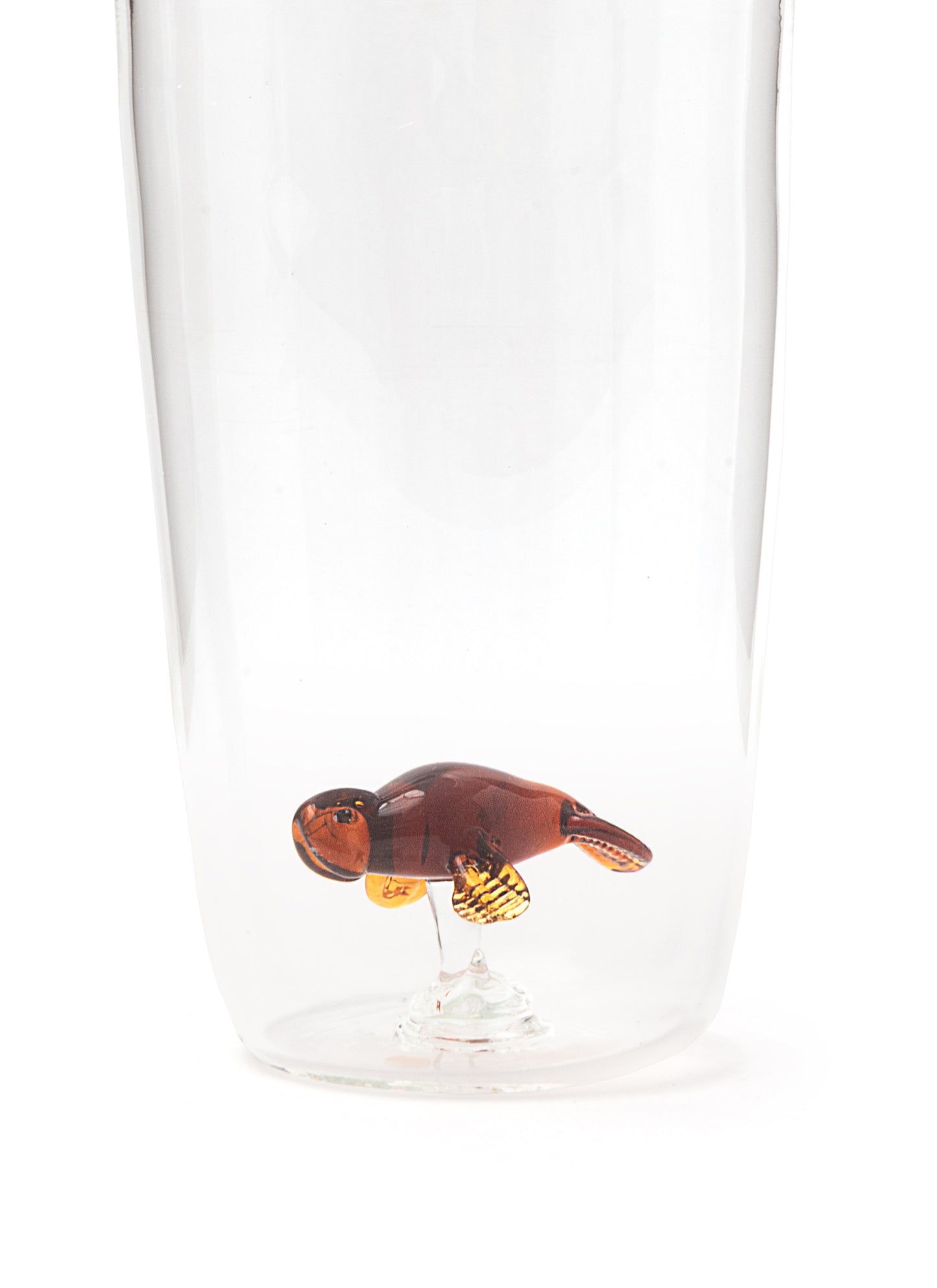 Manatee Glasses
