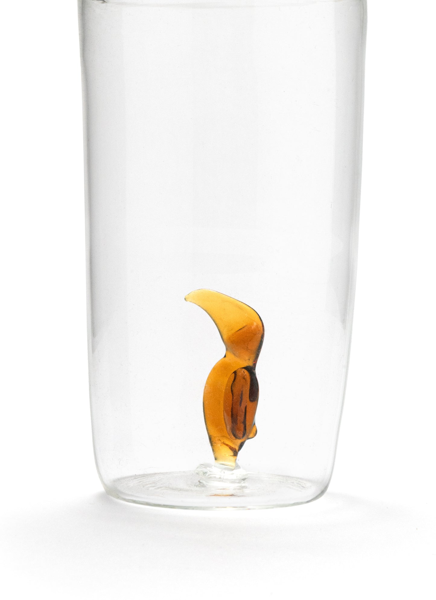 Tucan Glasses