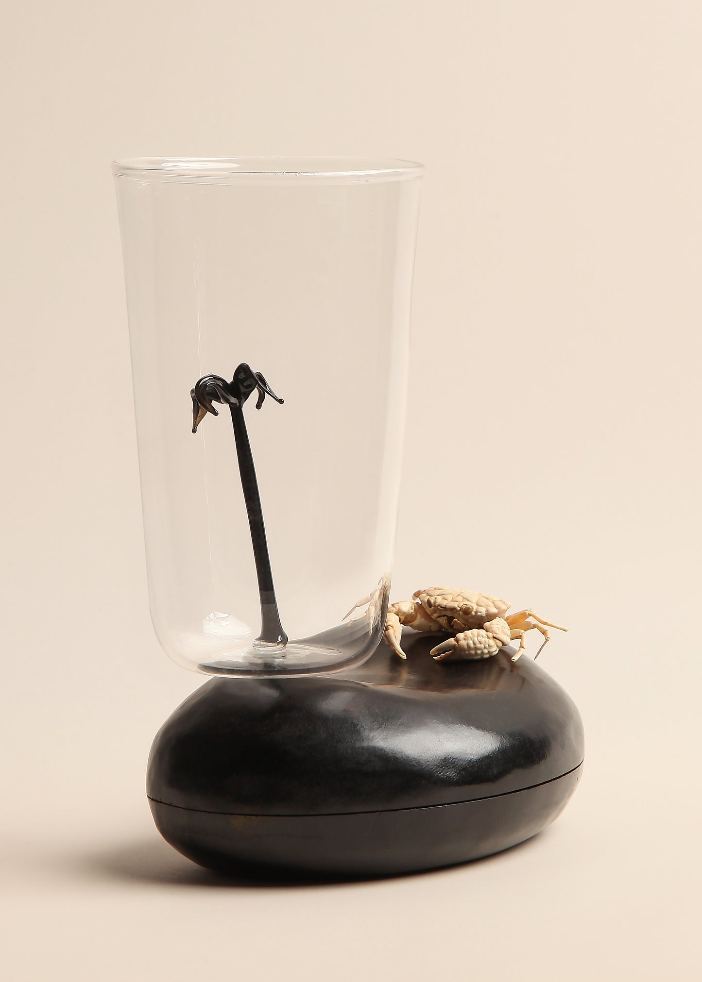 Vasos Palma de cera
