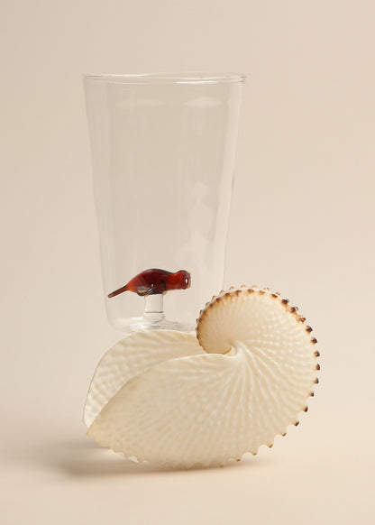 Manatee Glasses