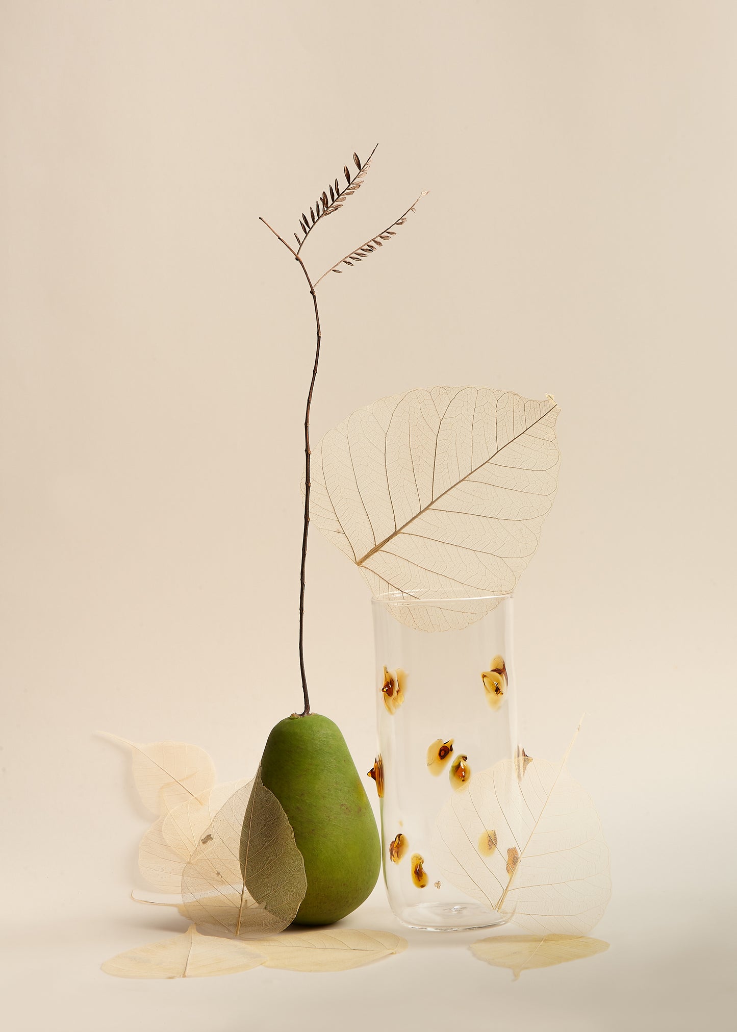 Large Spines Vessels