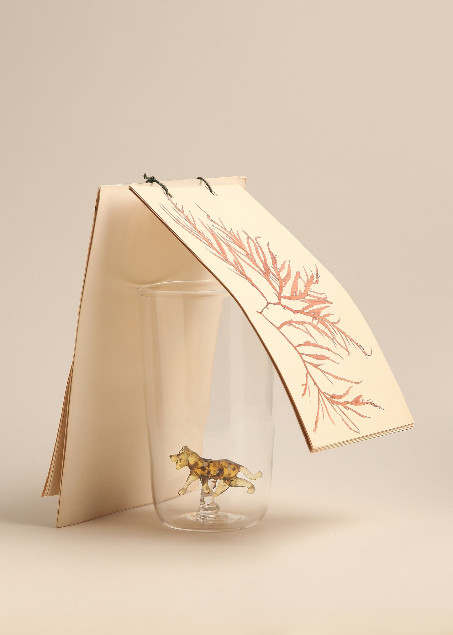 Vasos Jaguar
