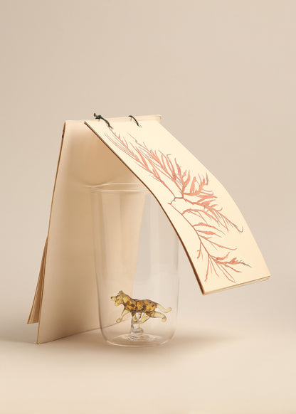 Vasos Jaguar