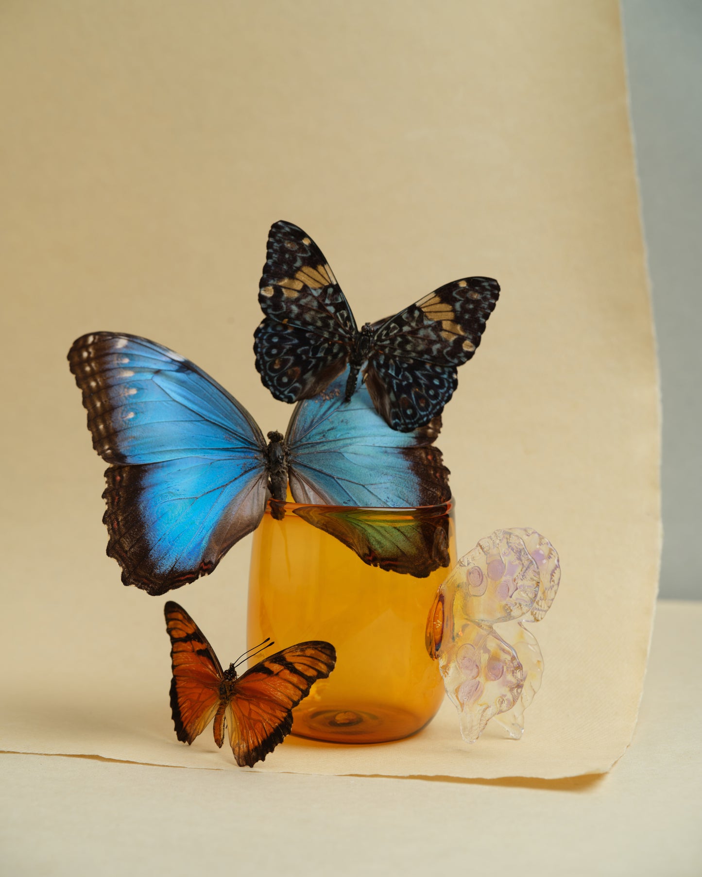 Butterfly Mug