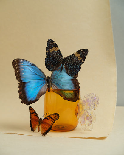 Butterfly Mug