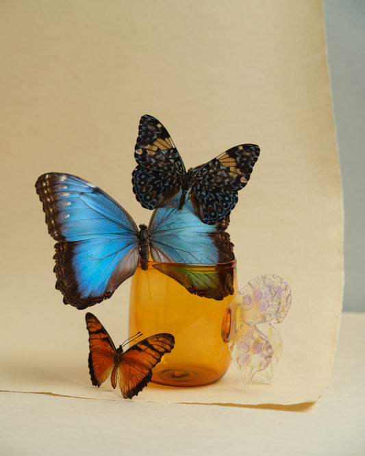 Butterfly Mug