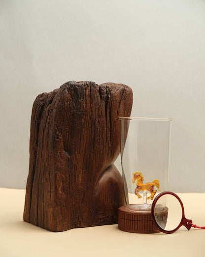 Horse Glasses