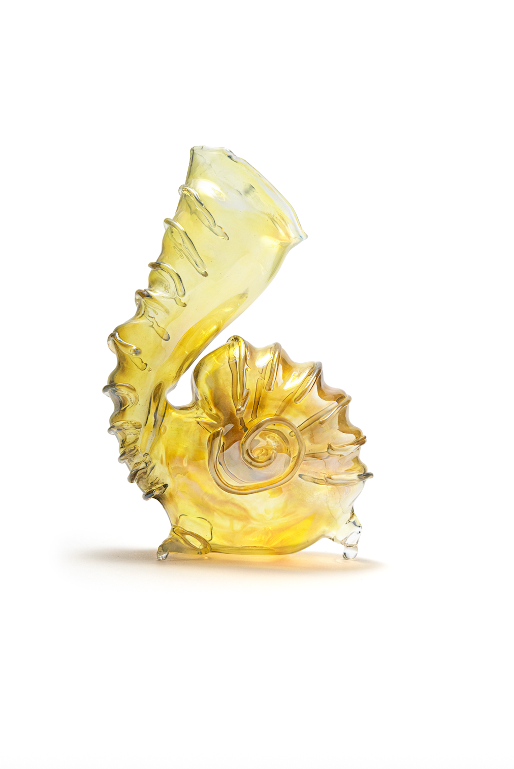 Shell jug